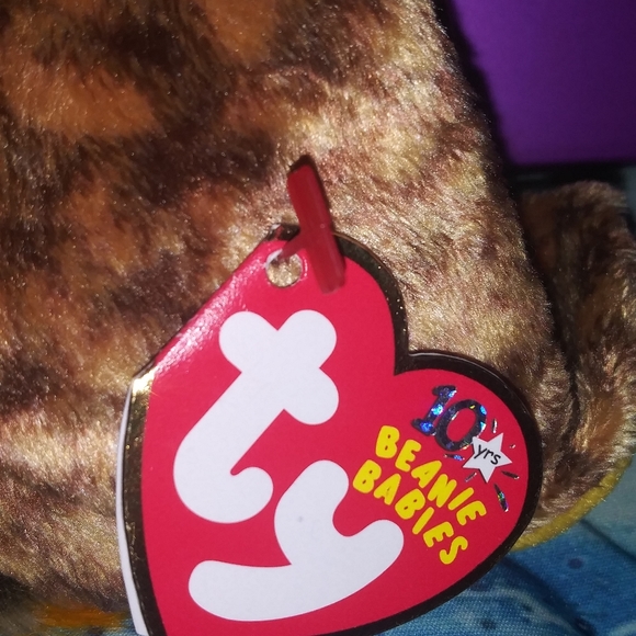 🌼 Smartest "Class of 2003"  Owl 🦉 - Picture 5 of 6